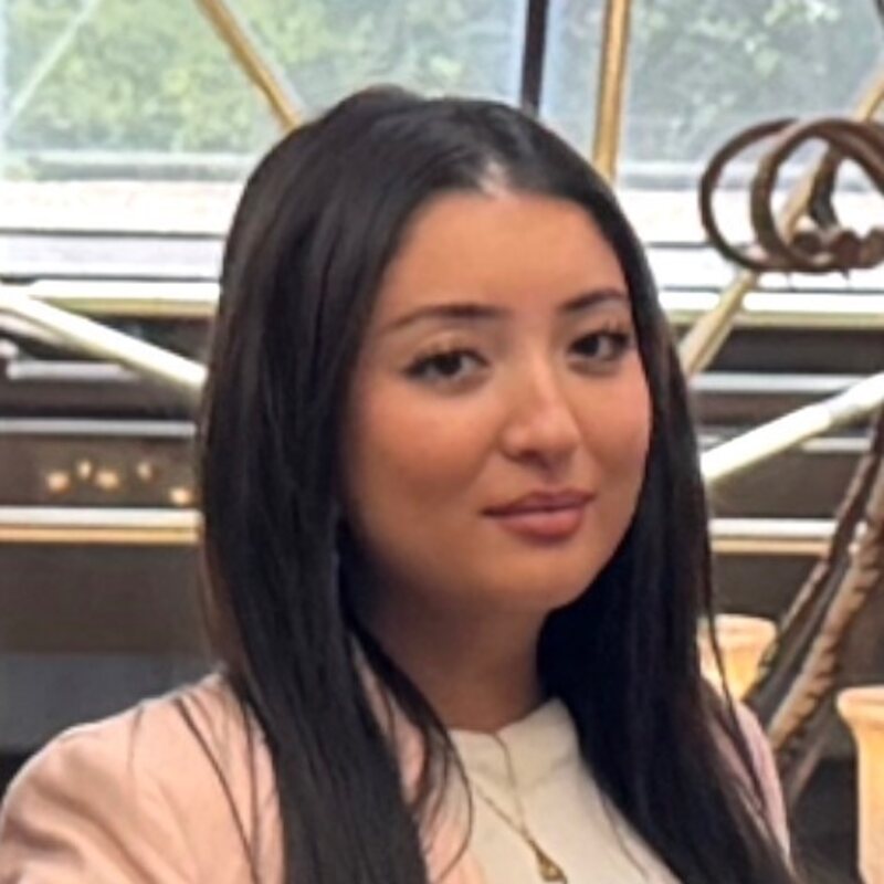 Sophia Anwar, Recruiter and Administrator at NoeCee Global