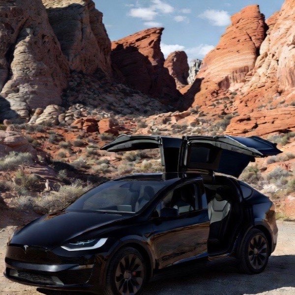 Black Tesla Model X with its falcon-wing doors open among the red rock formations of Valley of Fire
